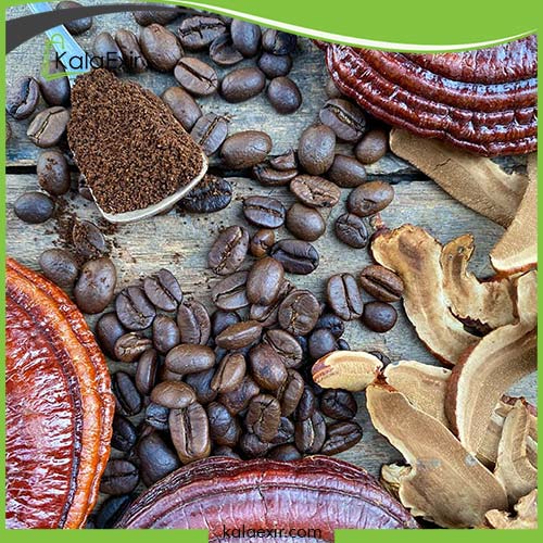 سایر ویژگی های قهوه قارچ گانودرما
