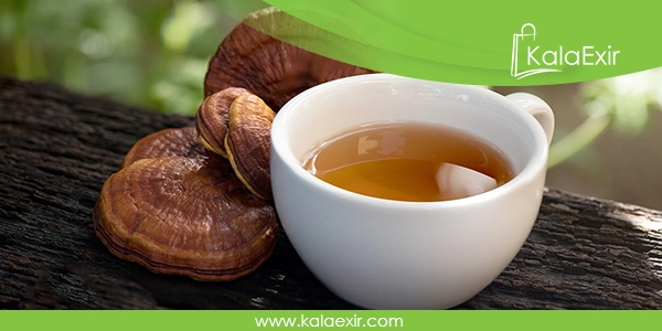 خواص قهوه لاته گانودرما دکتر بیز فوری