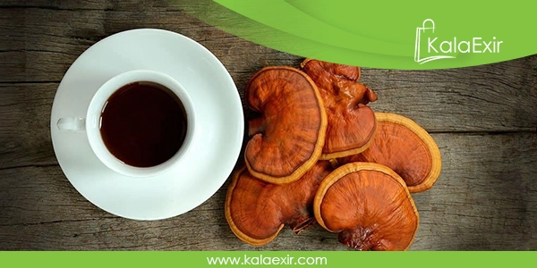 قهوه گانودرما سوپریم دکتر بیز